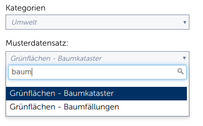 Eingabefeld für Musterdatensatz
